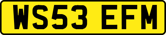 WS53EFM