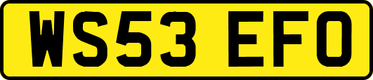 WS53EFO
