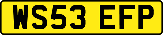 WS53EFP