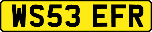 WS53EFR