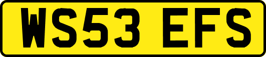 WS53EFS