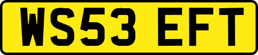 WS53EFT