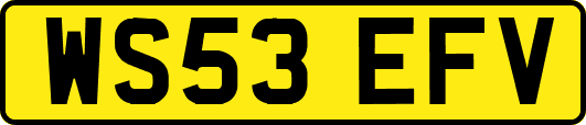WS53EFV