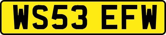 WS53EFW
