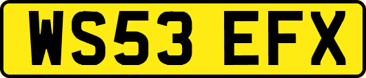 WS53EFX