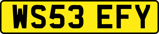 WS53EFY