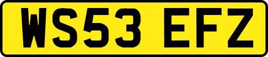 WS53EFZ