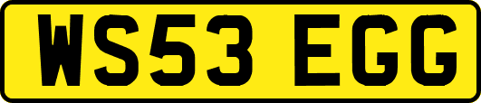 WS53EGG