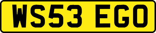 WS53EGO