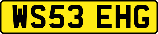 WS53EHG