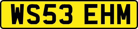 WS53EHM