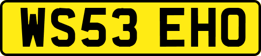WS53EHO