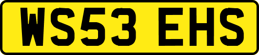 WS53EHS