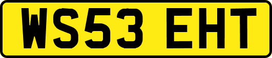 WS53EHT