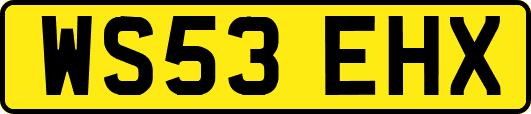 WS53EHX