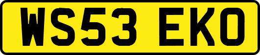 WS53EKO