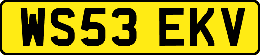 WS53EKV