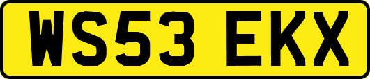WS53EKX