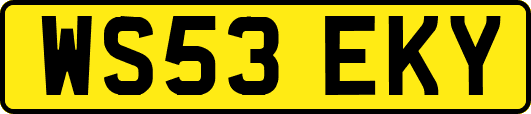 WS53EKY