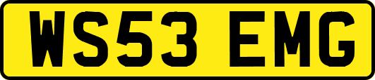 WS53EMG
