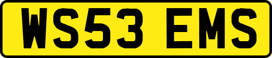 WS53EMS