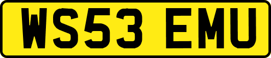 WS53EMU