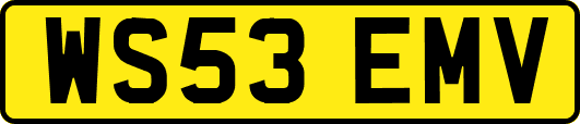 WS53EMV