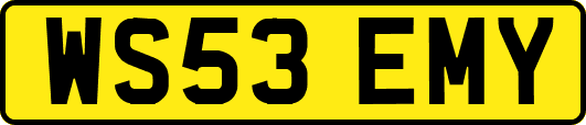 WS53EMY