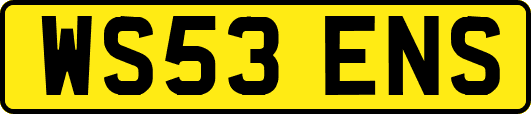 WS53ENS