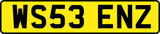 WS53ENZ