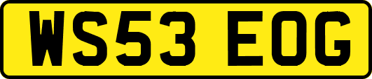 WS53EOG