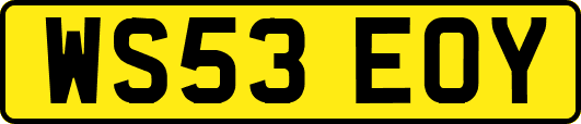 WS53EOY
