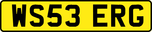 WS53ERG