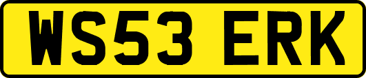 WS53ERK