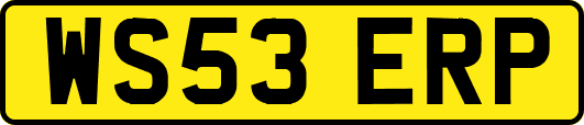 WS53ERP