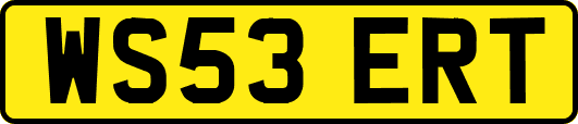 WS53ERT