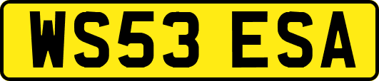 WS53ESA