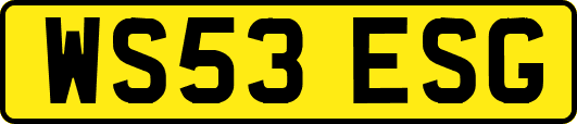 WS53ESG