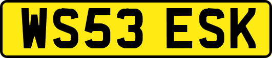WS53ESK