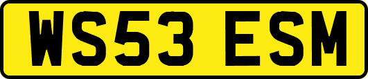 WS53ESM