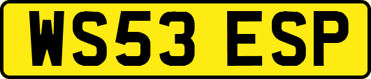 WS53ESP