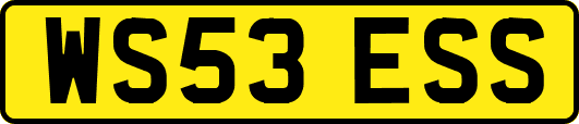 WS53ESS