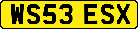 WS53ESX