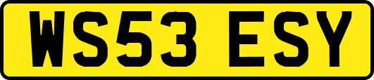 WS53ESY