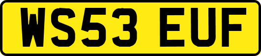 WS53EUF