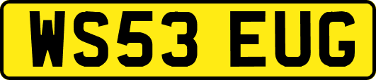 WS53EUG