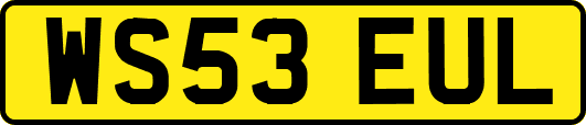 WS53EUL