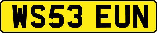 WS53EUN