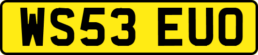 WS53EUO