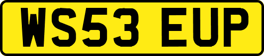 WS53EUP